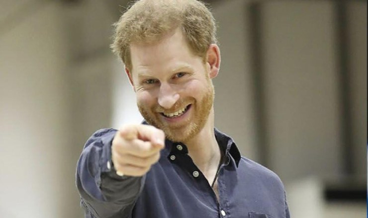 Il Principe Harry - Focusicilia.it