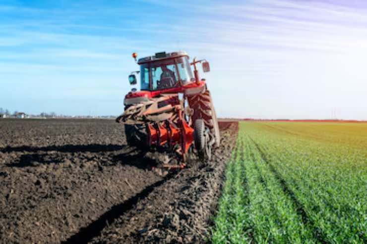 Agricoltura - fonte_freepik - Focusicilia.it