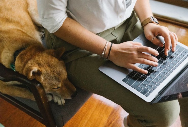 Il lavoro dei sogni esiste