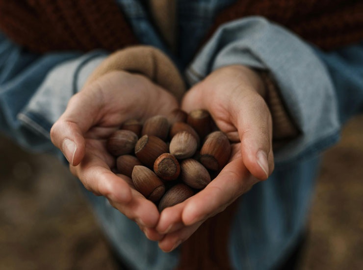Nocciole vendute come oro in Turchia, addio Nutella - Focusicilia.it