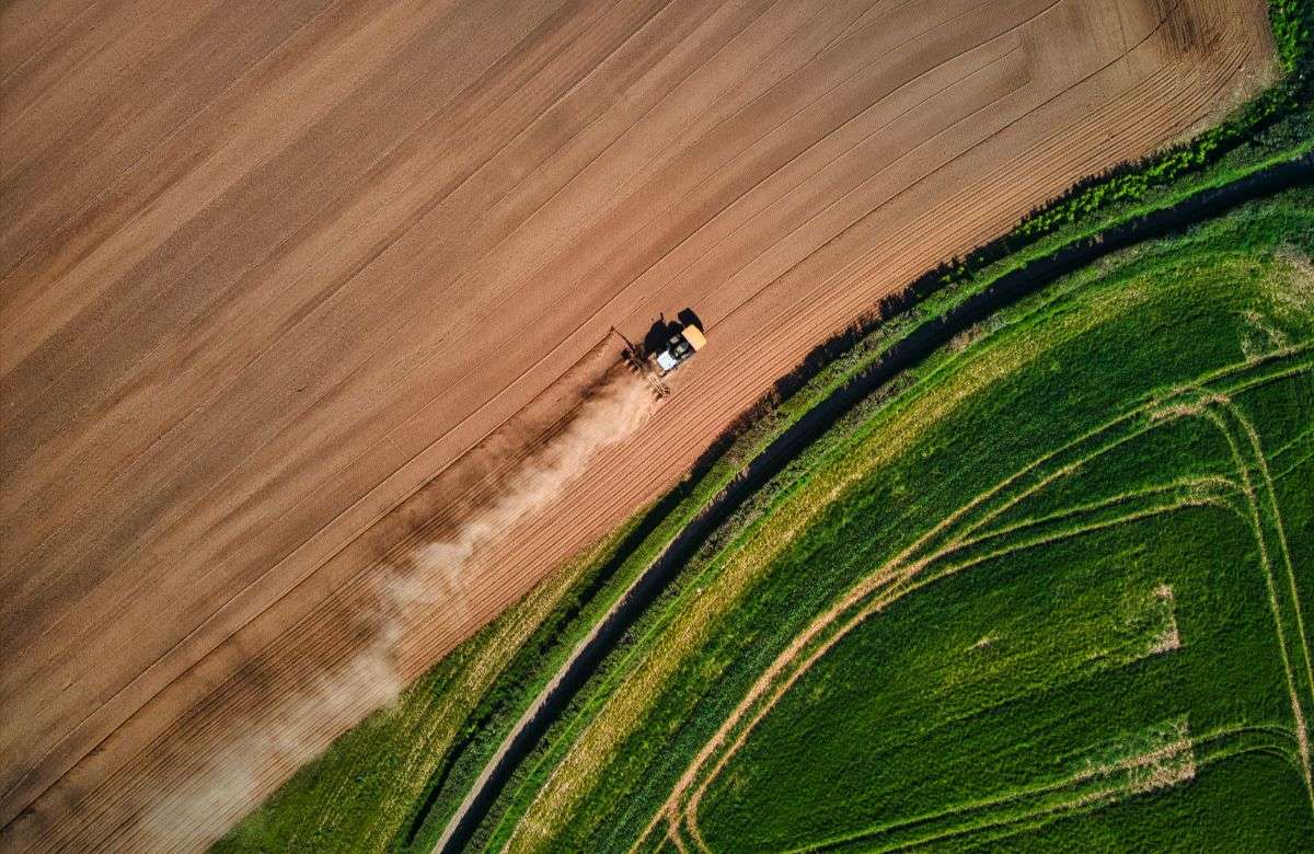 Agricoltura, in Sicilia meno semina. Il 2024 andrà peggio, e c’entra il clima