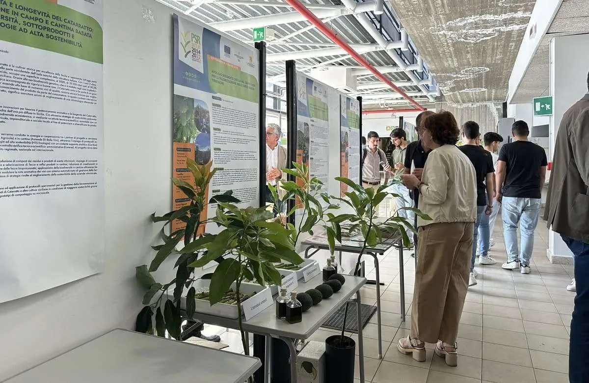 Agricoltura siciliana, a Catania evento con la Commissione Ue. Il punto sul Psr
