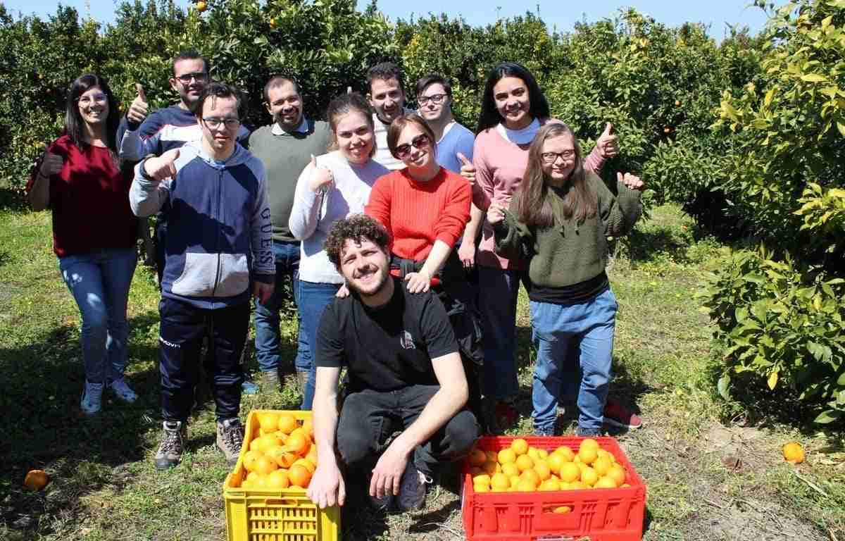Catania, nuova raccolta “solidale” di arance in terreno confiscato alla mafia