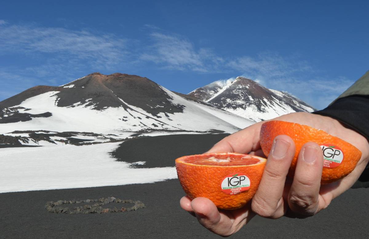 Arancia Rossa di Sicilia Igp, al via la stagione con un omaggio all’Etna