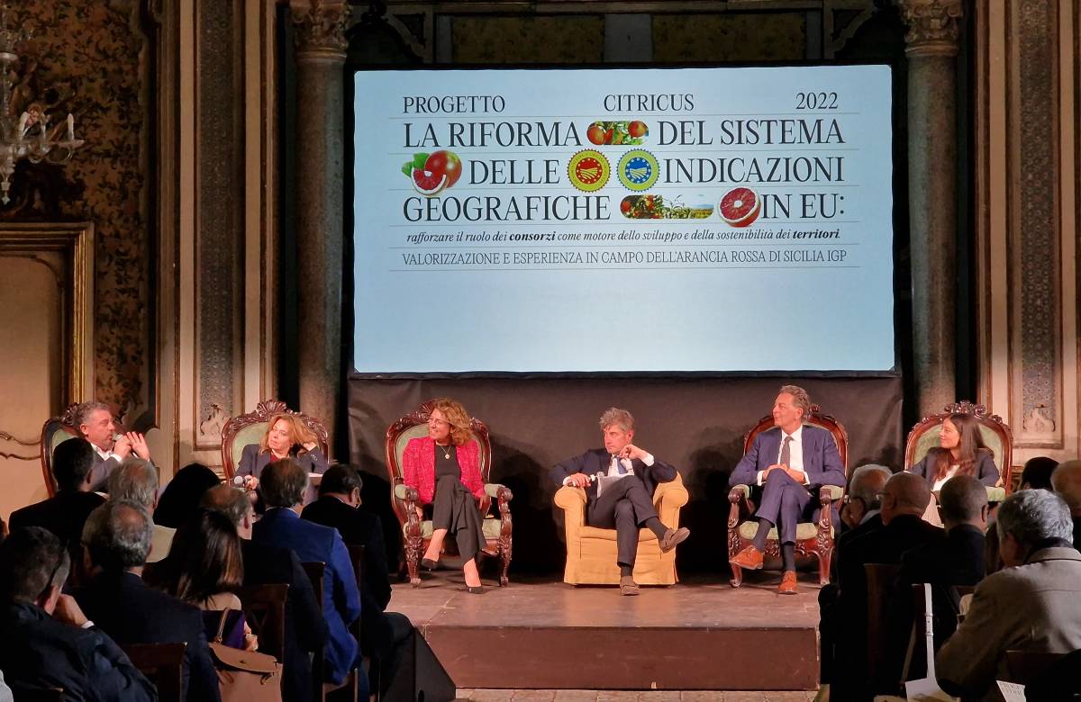 Arancia Rossa Igp chiede “unione” sulla riforma delle indicazioni geografiche