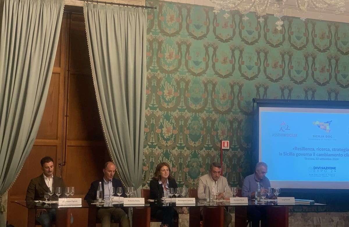 Assovini Sicilia, i dati della vendemmia 2024: calo del 20%, ma uve di qualità