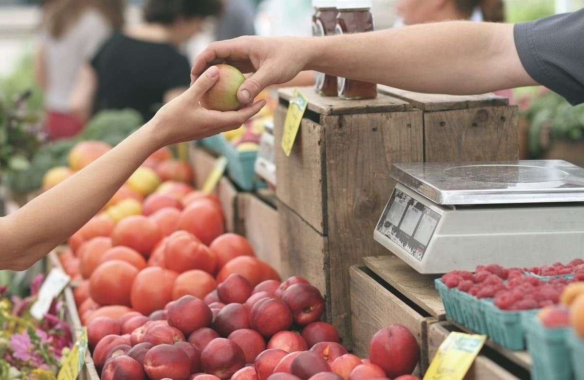Il ‘bio’ piace ma costa troppo: le famiglie comprano sempre meno (specie al Sud)