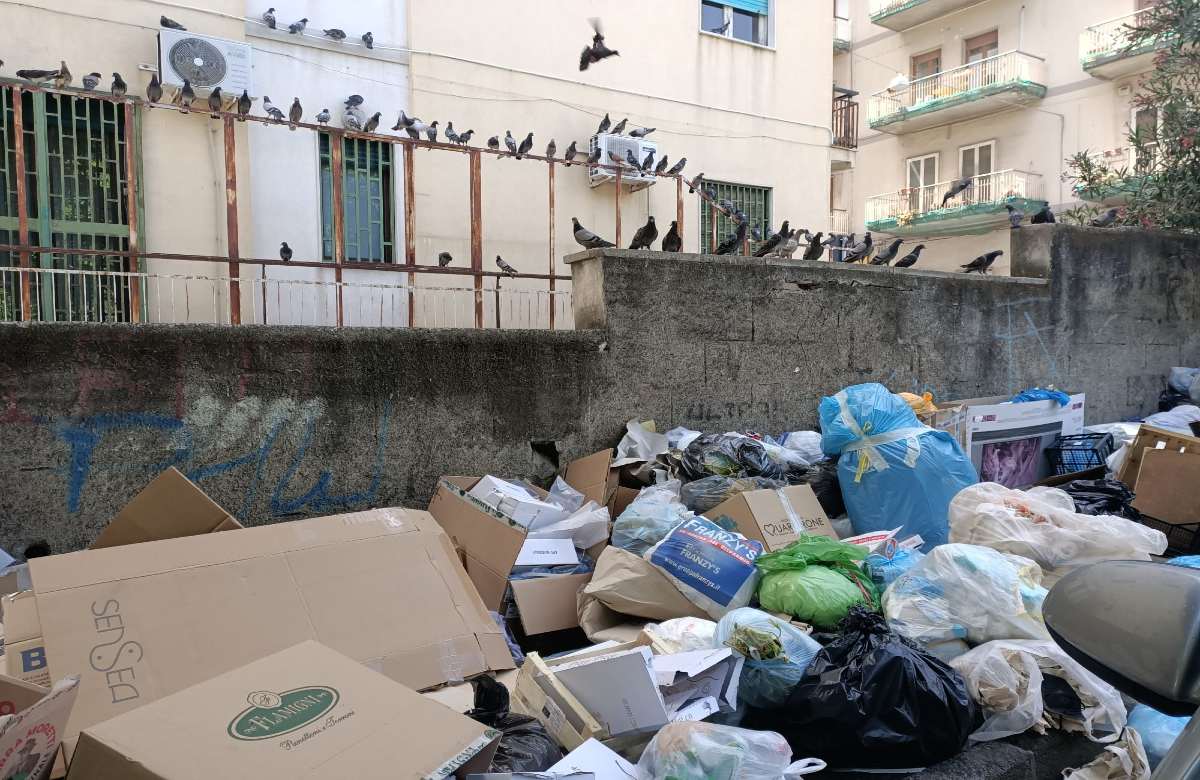 Rifiuti, sindacati etnei: Consorzio Gema disattende accordi, Prefetto intervenga