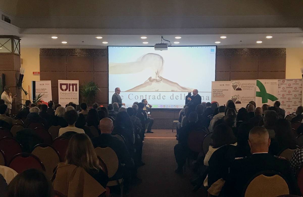 Il successo dei vini dell’Etna. Lo studio: “Ottima marginalità, trend in crescita”