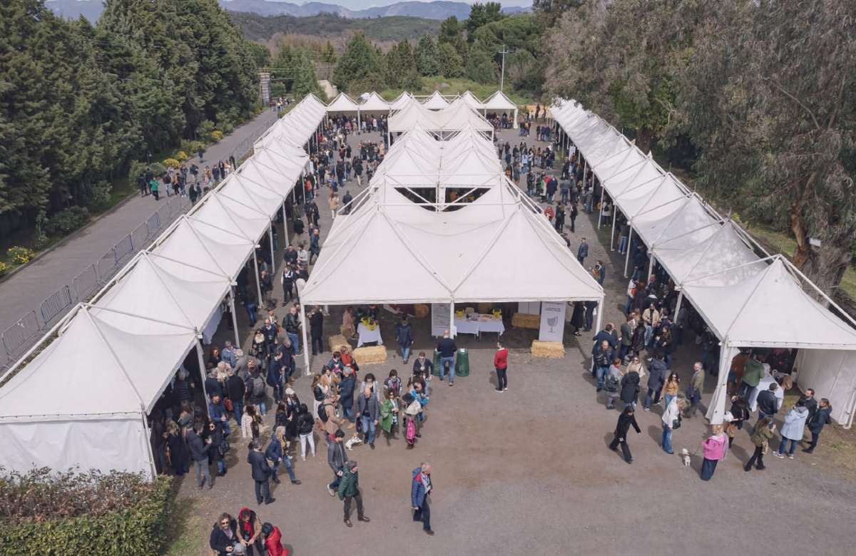 Contrade dell’Etna 2023, in programma uno studio sul valore dei vini