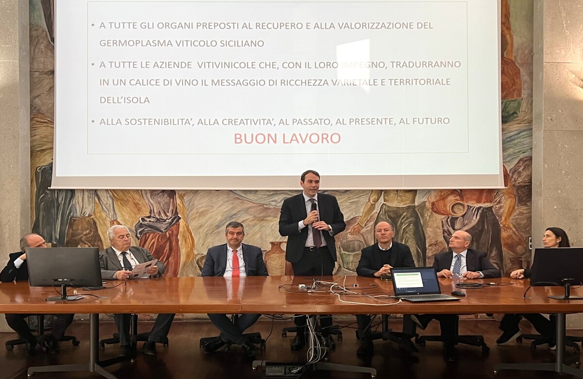 Vigneti e vini, adesso c’è l’albero genealogico della biodiversità
