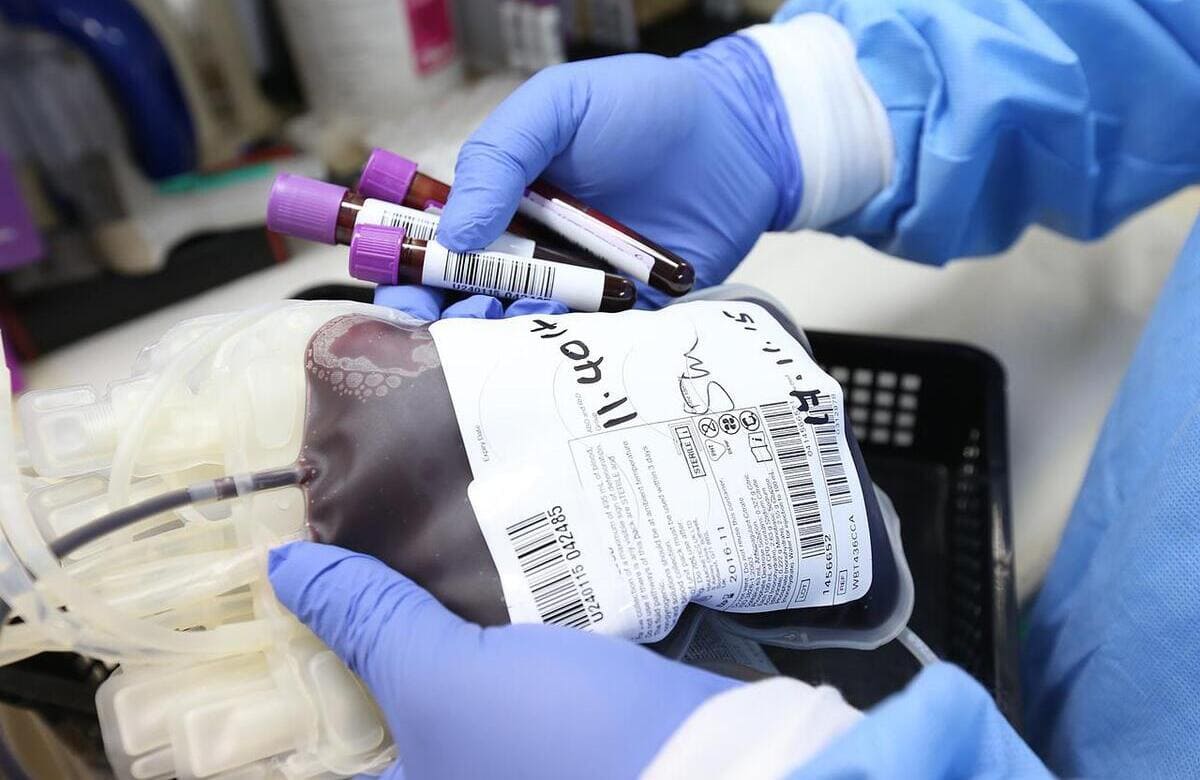 Emergenza sangue: appello di Ordine medici Catania e Avis Sicilia