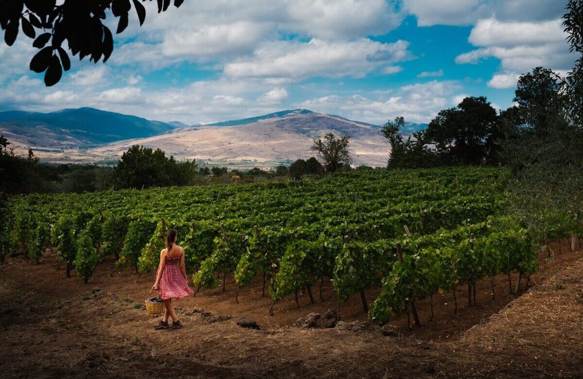 Vino Etna Doc escluso dal bando per la promozione. “Useremo i fondi europei”