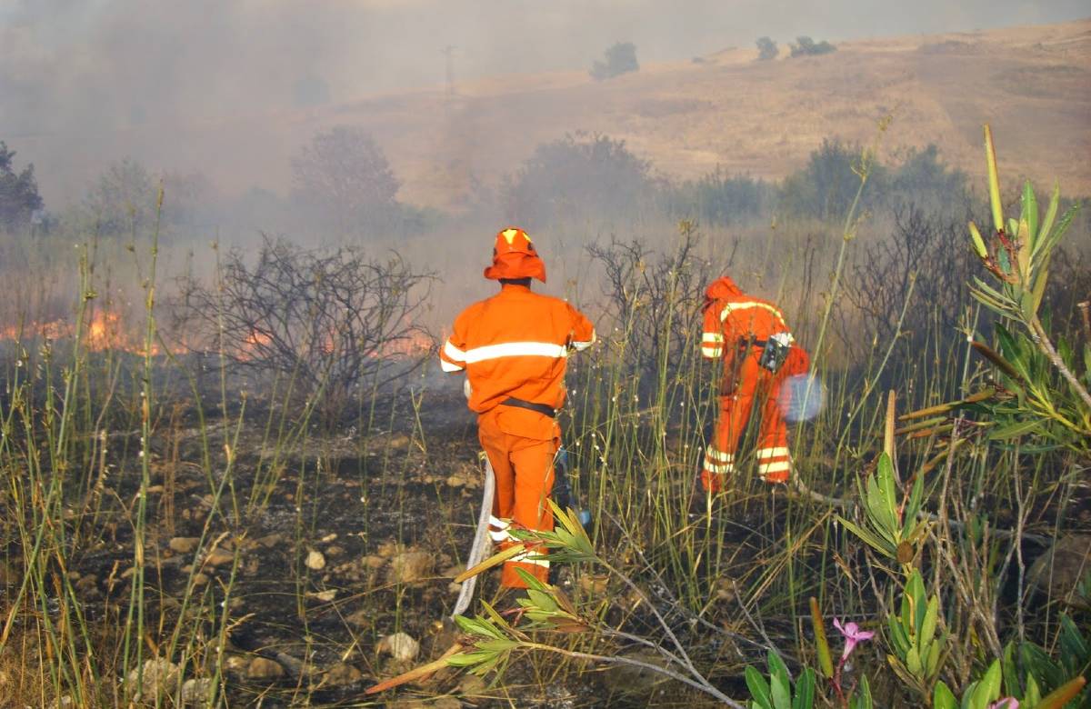 Concorso forestali Sicilia, Regione: verso annullamento per illegittimità atti
