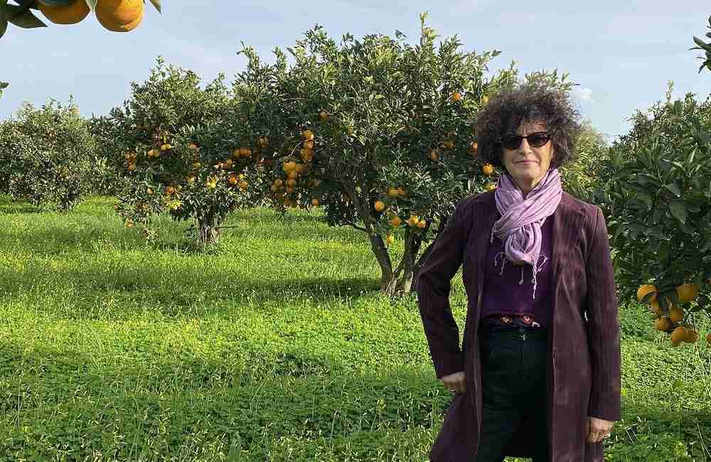 Agrumi di Sicilia, quantità e qualità. Argentati: “Comunicare l’eccellenza”