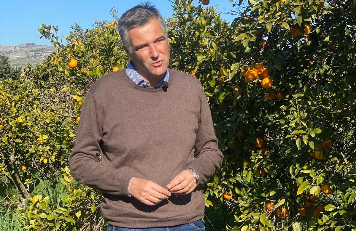 Alluvioni, guerra, siccità e altri disastri, “ma la Sicilia e l’agricoltura sono forti”