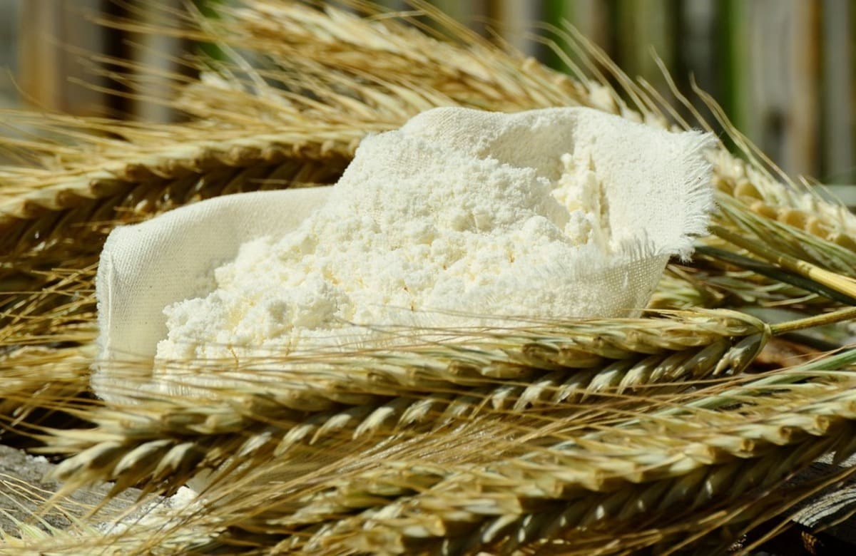 Grano duro, “vietati” i mulini a pietra. “Danno per la Sicilia, la Regione tace”