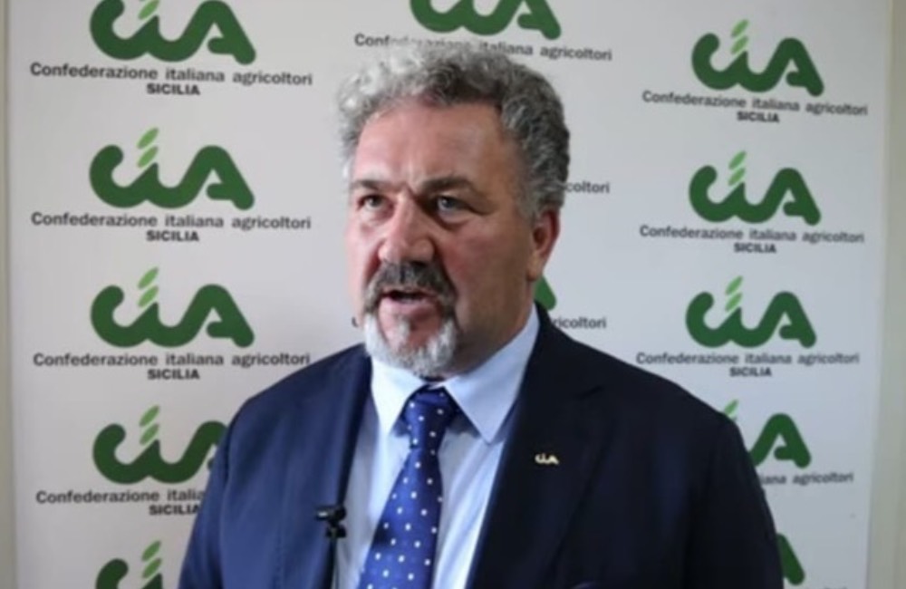 Maltempo, danni per l’agricoltura. Cia: “Attivare tutte le misure per i ristori”