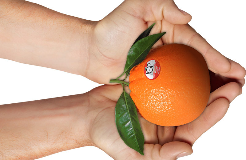 Blockchain per le arance rosse Igp. Aziende oltre la politica