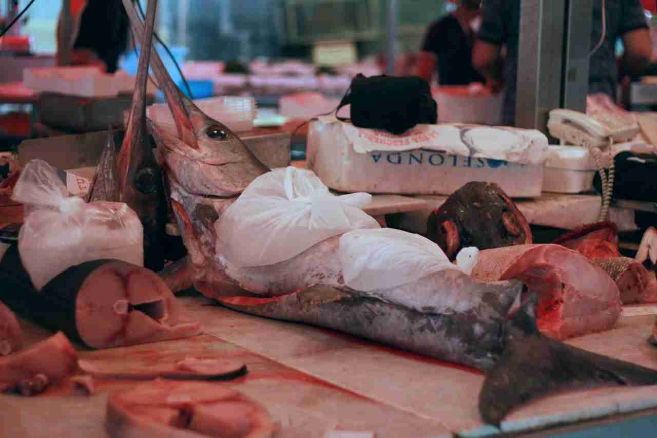 Regione, aiuti Covid a 5.000 pescatori. Bandiera: “Sostegno a tutto il settore”