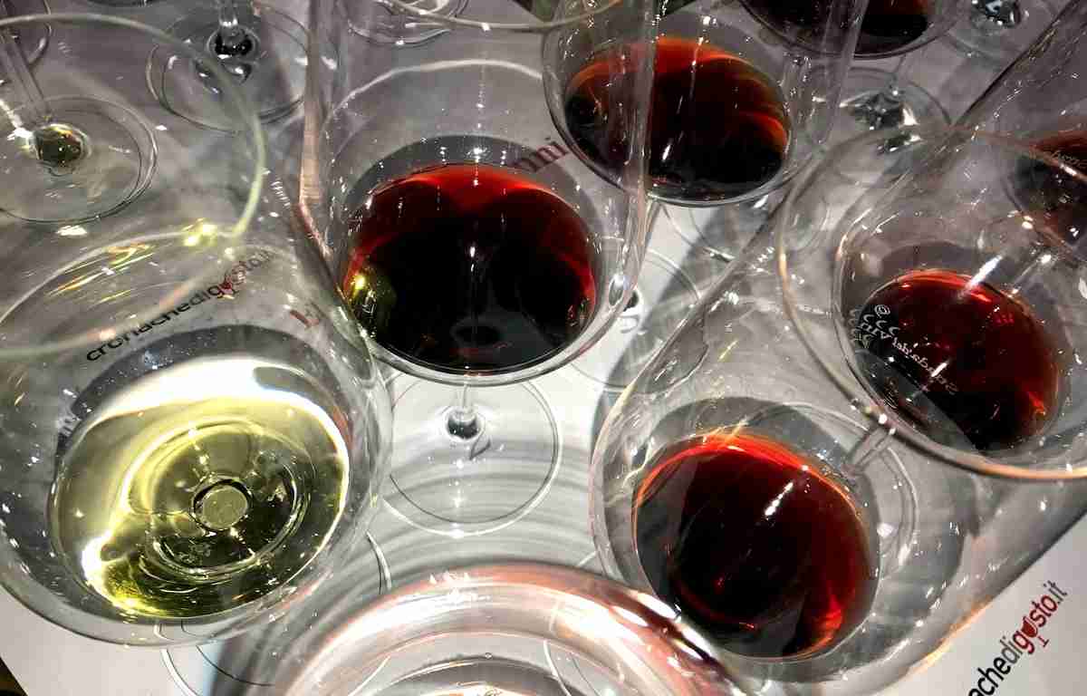 Contrade: L’Etna e il vino protagoniste. Tra diversità e vini “en primeur”