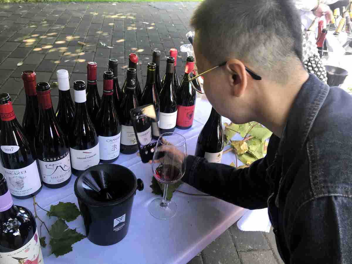 Sicilia, in arrivo le graduatorie per la promozione di vino e prodotti Dop e Igp