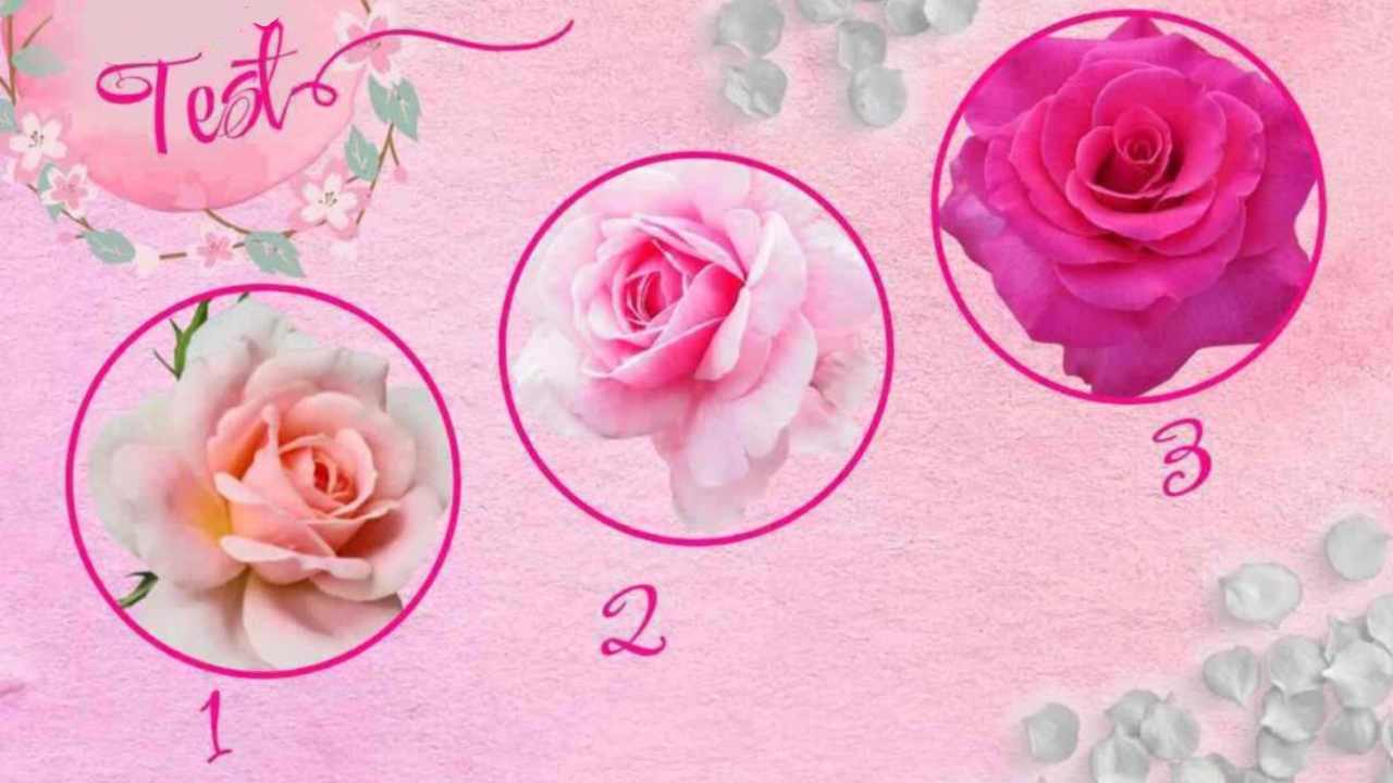 Scegli la tua rosa per scoprire un SEGRETO INCONFESSABILE | La tua personalità per un fiore