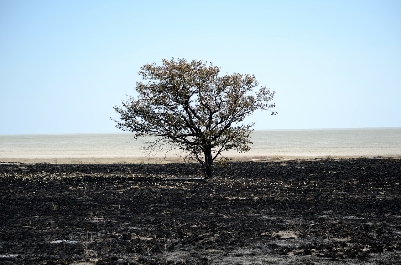 Incendi in Sicilia: “decine di milioni di danni”. Anci: stop logica emergenziale