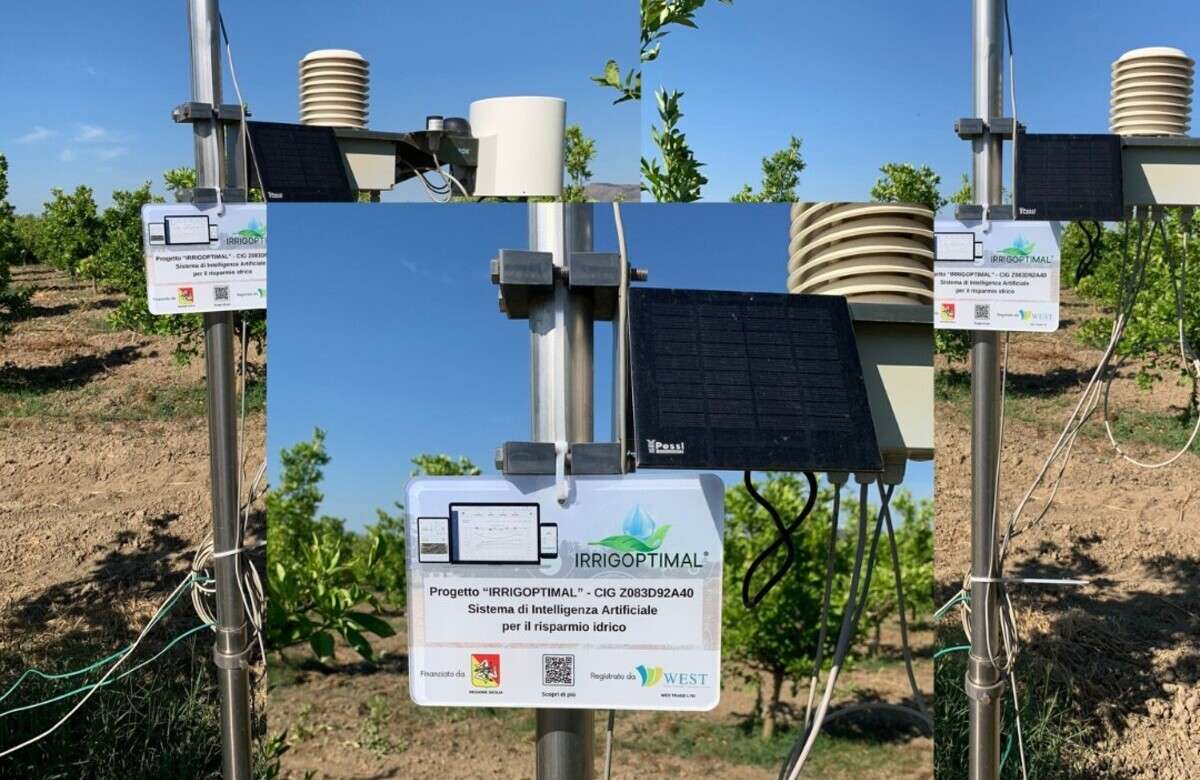 L’Ai per l’agricoltura: meno sprechi, più qualità. Il caso Irrigoptimal in Sicilia
