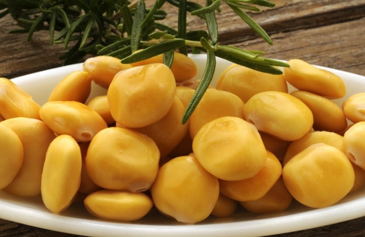 Sugli Iblei rinasce il lupino. “Sostituto della soia Ogm per i mangimi animali”