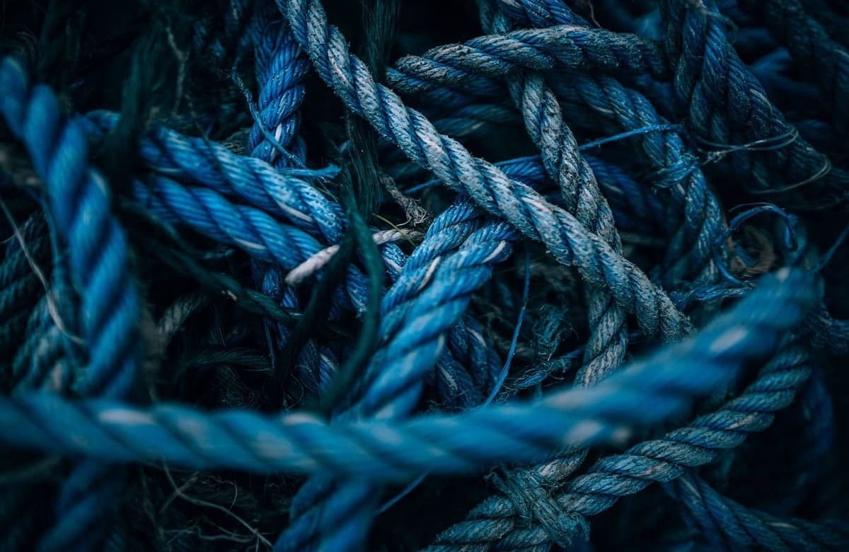 Pesca, Regione: 12 milioni per aiutare le aziende dell’acquacoltura sostenibile