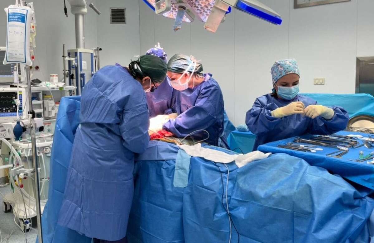 Ospedale San Marco Catania, prelievo di fegato da un “grande anziano” generoso