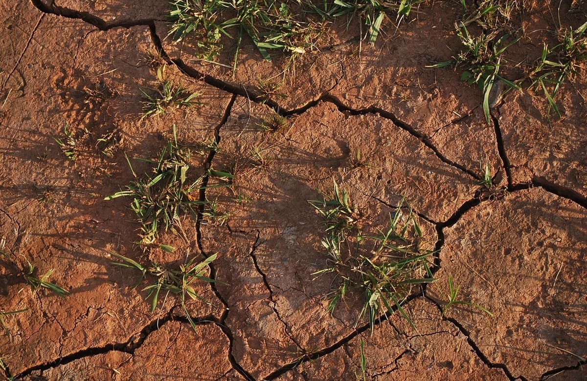 Siccità, Roma “commissaria” le Regioni. In Sicilia scorte d’acqua in calo del 26%