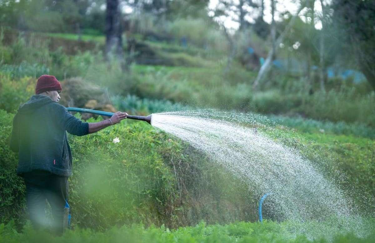 Siccità, l’acqua potabile c’è, quella per irrigare no. L’esperto: paga l’agricoltura