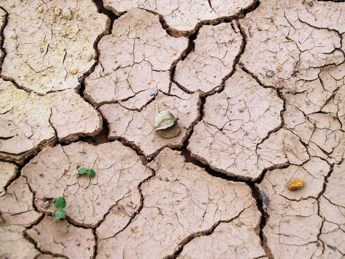 Siccità in Sicilia: agricoltura al collasso. Fedagripesca: ministro firmi emergenza