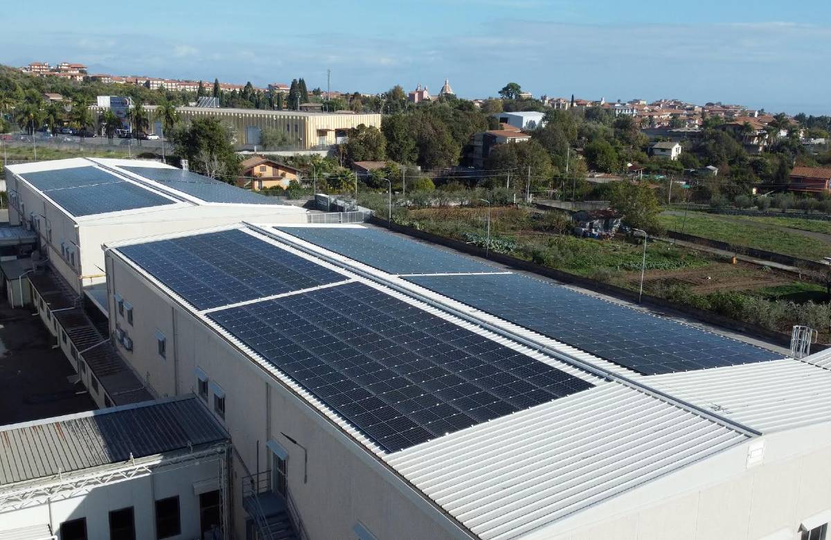 Le tortine sostenibili: fotovoltaico e piccoli lotti senza sprechi