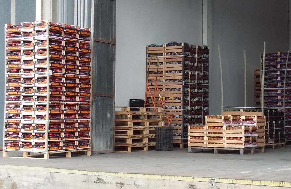 Ortofrutta, mercato in crisi nel Sud-Est siciliano. Focus su Vittoria