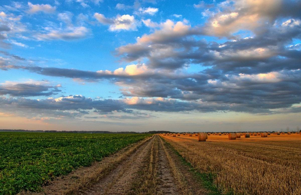 Agricoltura: sfuggita al Covid, ora è nella morsa dei costi pazzi