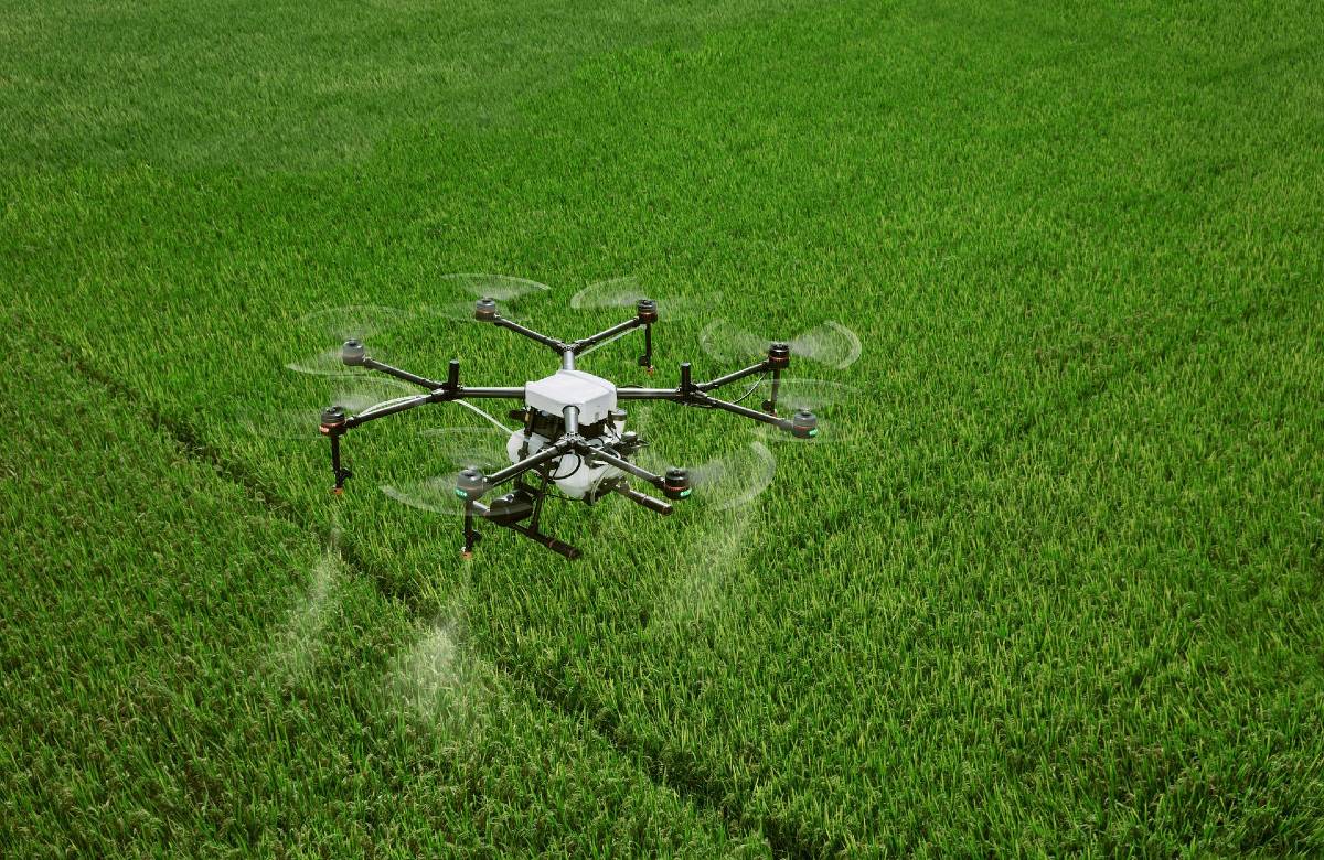 Aziende agricole: innovazione frenata da burocrazia e gap digitale