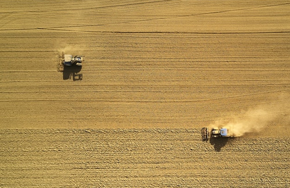 Agricoltura, dalla Regione bando da undici milioni per diversificare le attività
