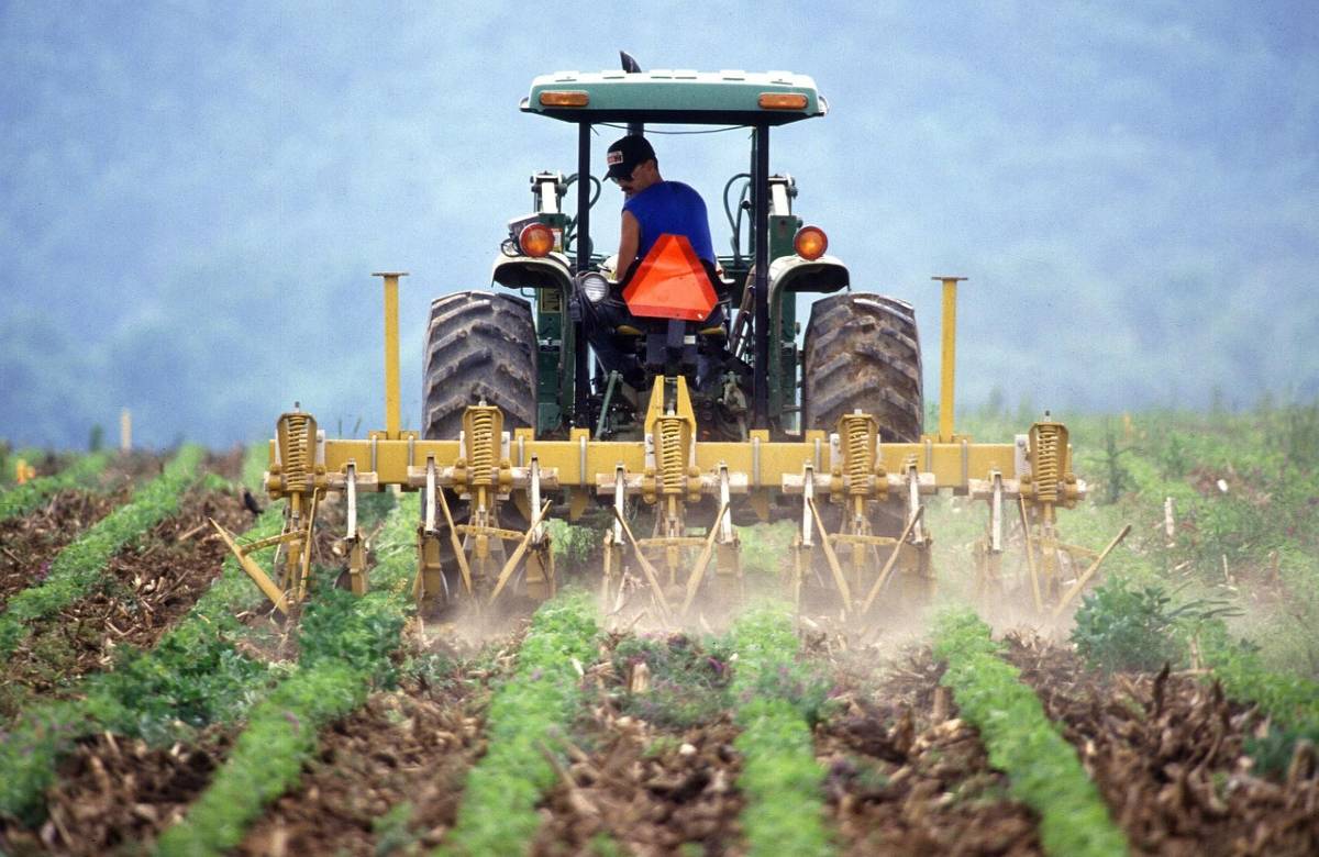 Sempre meno, più grandi, ma vecchie: identikit delle aziende agricole in Sicilia