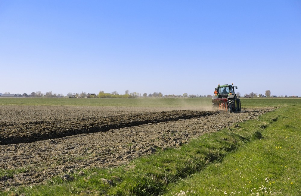 Agricoltura, dal Psr Sicilia tre bandi per 120 milioni per agricoltori e allevatori