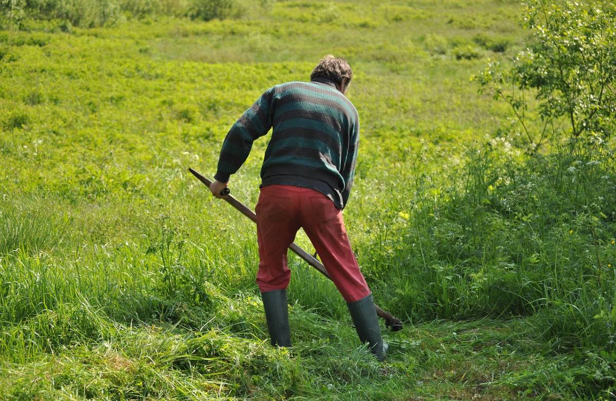 Agricoltura, proteste nel ragusano. Confagricoltura non scende in piazza