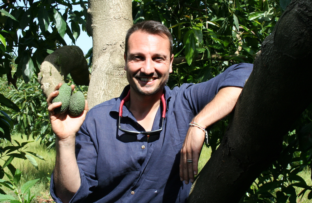 Sicilia Avocado, il consorzio che sta conquistando Hong Kong