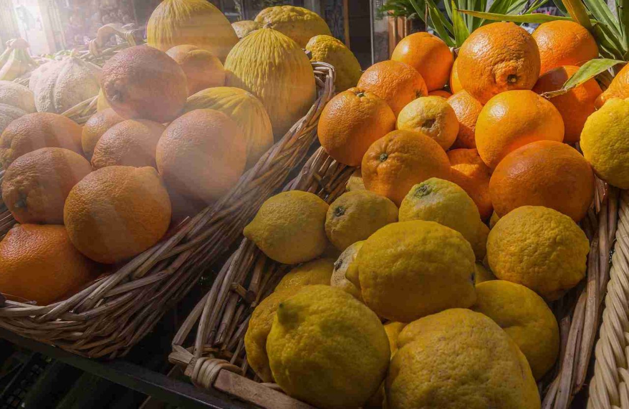 Siccità: un futuro incerto per agrumi, olio d’oliva e grano duro Made in Italy
