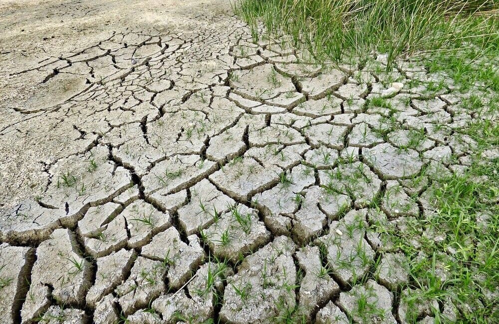 Caldo record, Confcommercio Calatino chiede stato di calamità: danni ai campi
