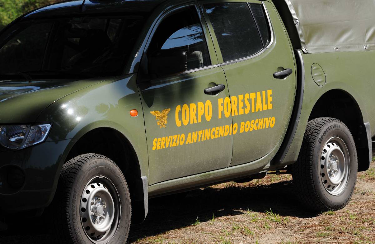 Forestali, in Sicilia nuovi ingressi. Non piacciono a tutti