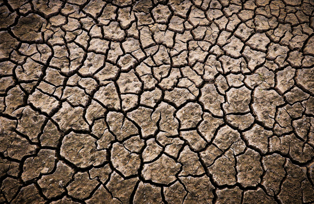 Caldo e desertificazione, la Sicilia potrebbe diventare la nuova Tunisia