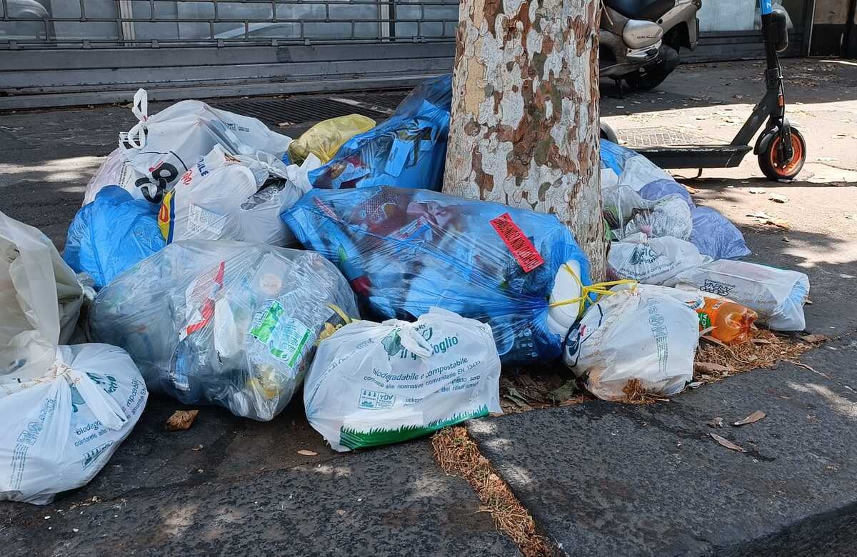 Ecomafie, Legambiente: i soldi in Sicilia si fanno su animali, cemento e rifiuti