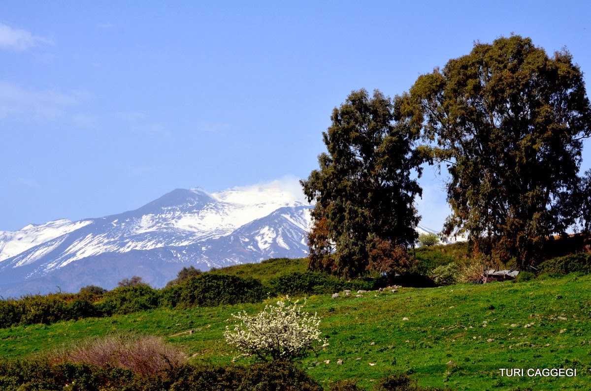 Legambiente contro riperimetrazione: “Il Parco dell’Etna diventi nazionale”